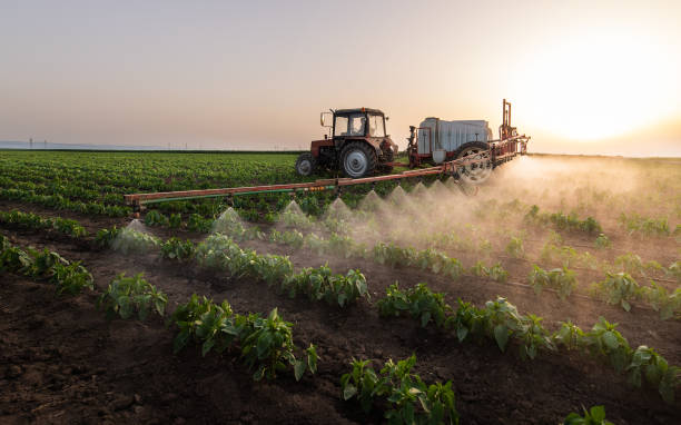 Professional Pest Control in Robersonville, NC